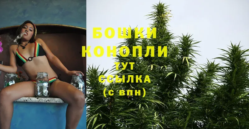 Канабис OG Kush  Осташков 